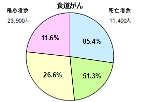 食道がん円グラフ